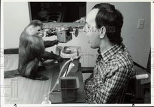 1989 Press Photo Capuchin Monkey 