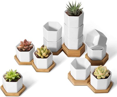 Small White Succulent Planter Pots with Bamboo Tray Hexagon Set of 12, Ge...