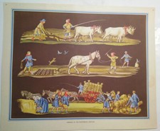 VINTAGE Macmillan School Poster, Chart, Print  Lithograph ￼No49~Farming 14th Cen