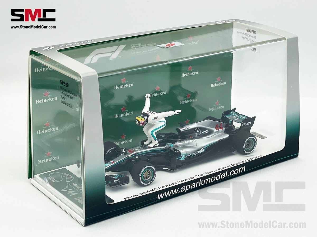 Mercedes F1 W09 Lewis Hamilton Brazil GP 2018 World Champion