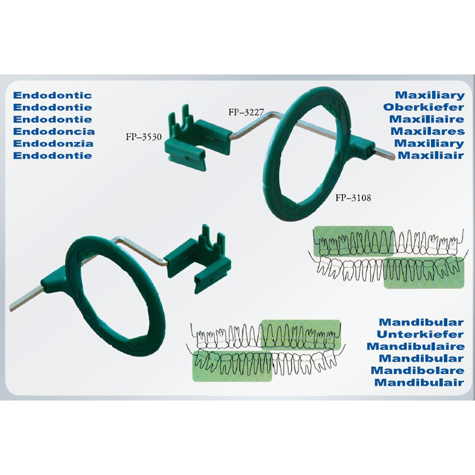 Dental X-Ray Positioner System Posterior Anterior Endodontic Holder 3 Sizes