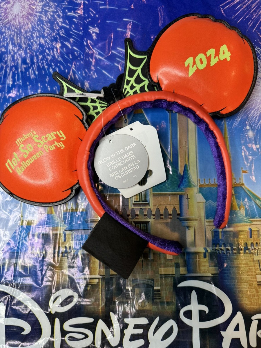 2024 Disney Parks Mickey display picture 2
