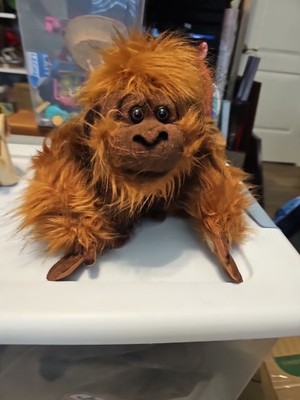ORANGUTAN RAINFOREST RUDY '' HARRY D'' Plush Monkey Chimp Stuffed Animal 8''