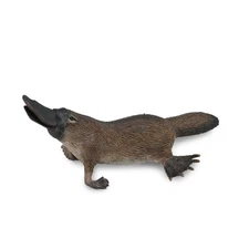CollectA Platypus