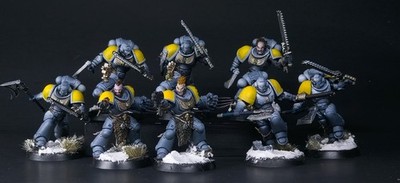 Space Wolves Blood Claws PRO Painted | Warhammer 40k | Tabletop Plus | Comission