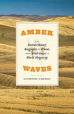 Amber Waves - The Extraordinary Biography of Wheat, from Wild Grass to World...