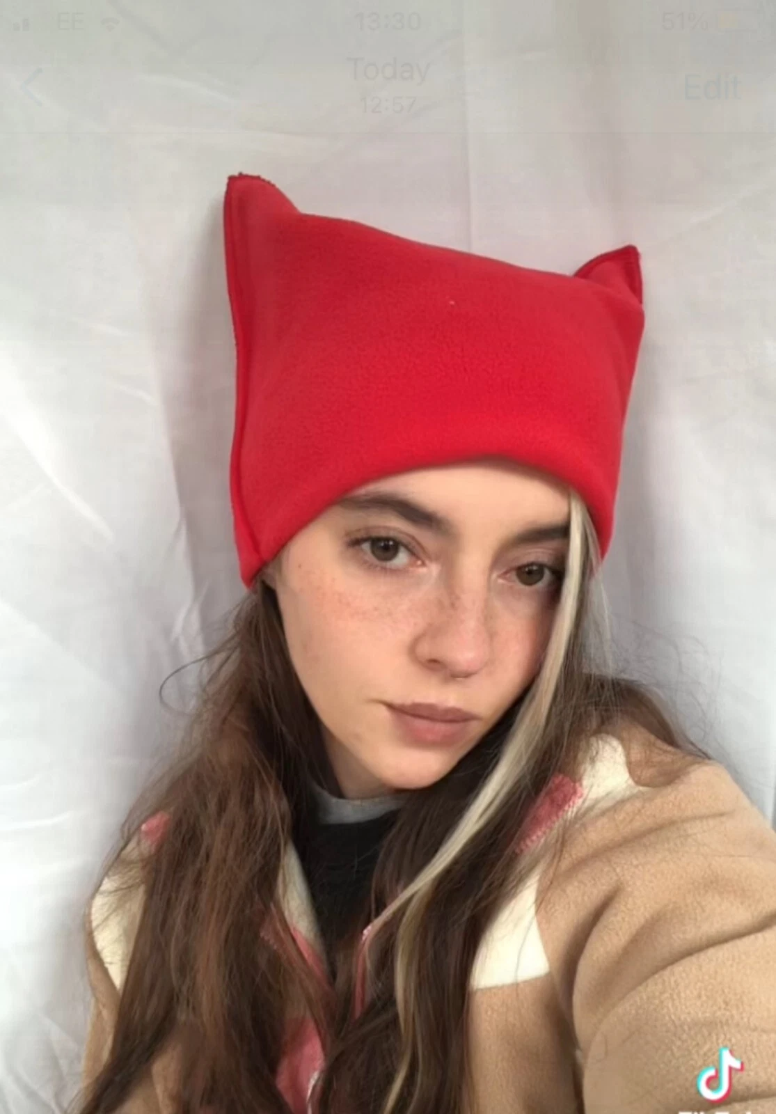 Women's beanie hat with ears fleece warm winter cat devil