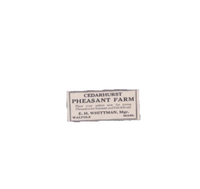 1929 Print Ad  Cedarhurst Pheasant Farm EH Whittman Mgr Walpole Mass Place Order