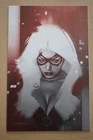 Amazing Spider-Man #9 Jeff Dekal ComicXposure Black Cat Virgin Variant 2018