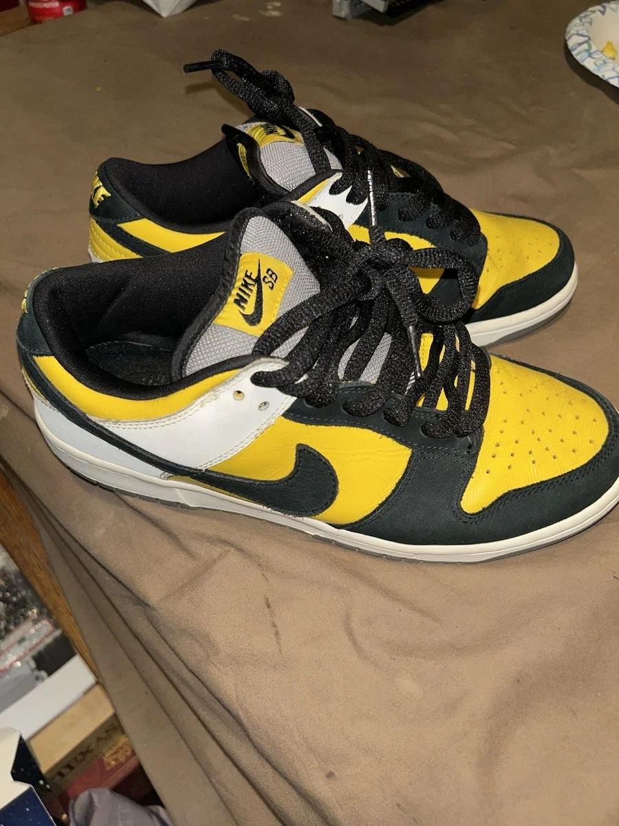 NIKE Dunk Low Pro SB BIC 2006 ビック 28cm 1 NIKE Dunk Low Pro SB BIC 2006 ビック 28cm 1 Nike SB Dunk Low Pro