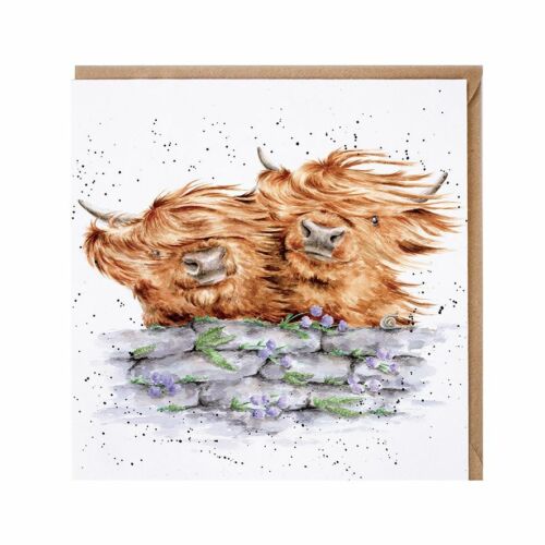 Scottish Highland Cows Birthday Card – Blown Away by Wrendale Greeting Card - Picture 1 of 1