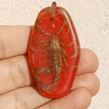 REAL SCORPION FOSSIL KEYCHAIN: PREHISTORIC INSECT IN AMBER RESIN PENDANTS