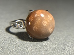 Natural Silicified Coral Fossil Flower Agate Ring/ Adjustable