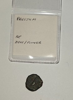 Ancient bronze coin from Poseidonia (Lucania) circa 218 BC 201 BC