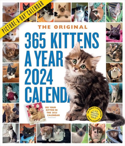 365 Kittens-A-Year Picture-A-Day Wall Calendar 2024: Absolutely Spilling Over