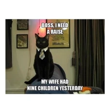 1032 -Funny Cat Meme Fridge Refrigerator Magnet