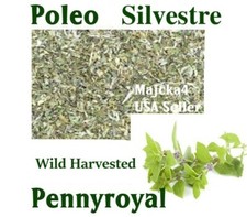 Poleo 4 oz Silvestre hierbas de mexico Pennyroral Wild Crafted 4 oz herbal tea