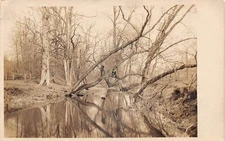 Lauraville Maryland Park Scene Men Climbing Tree Real Photo Postcard AA85348