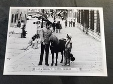 POLY À VENICE - Thierry Missud - PHOTO CINEMA 13x18