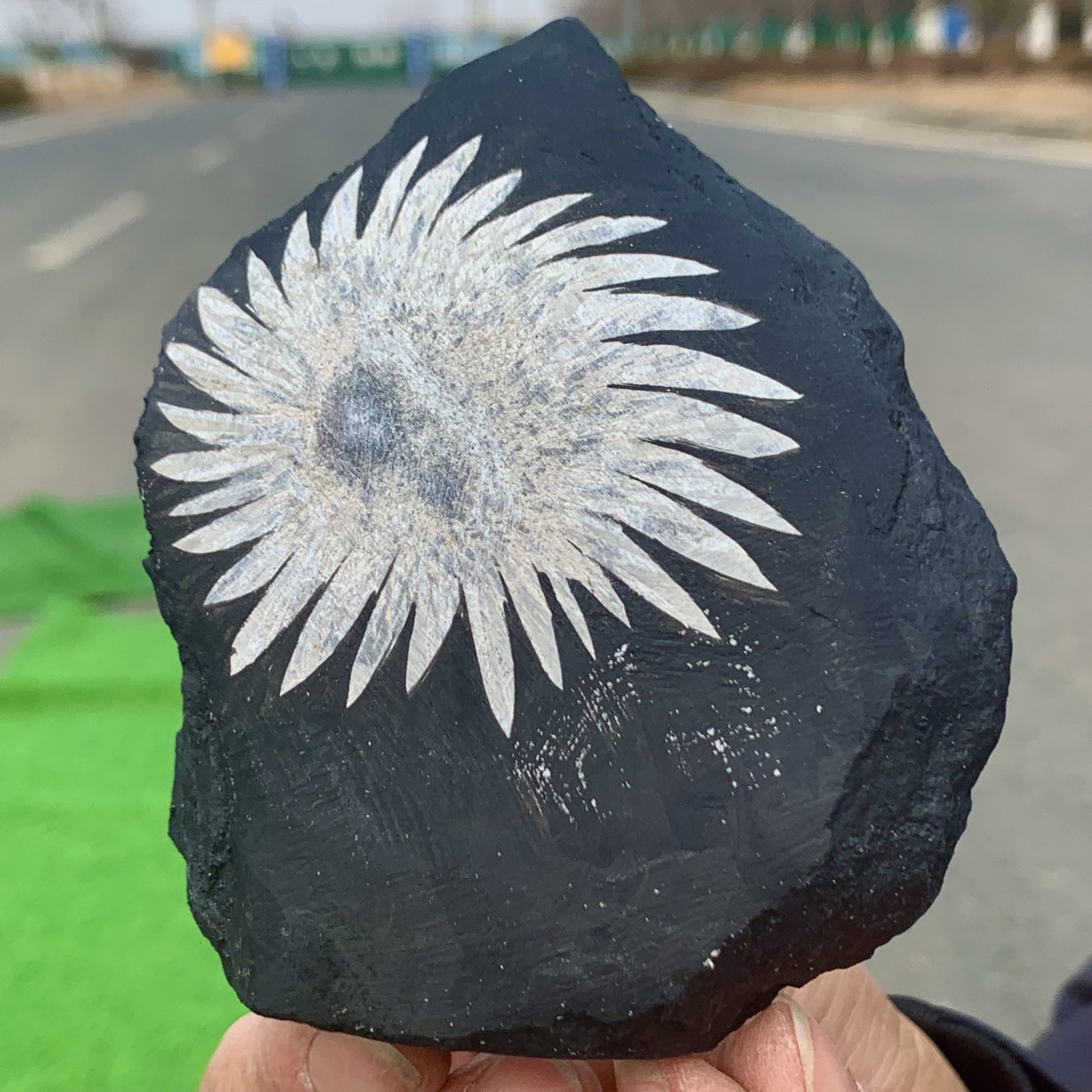 342G Natural Chrysanthemum Stone Quartz Carving with Halo Treatment Healing Gift