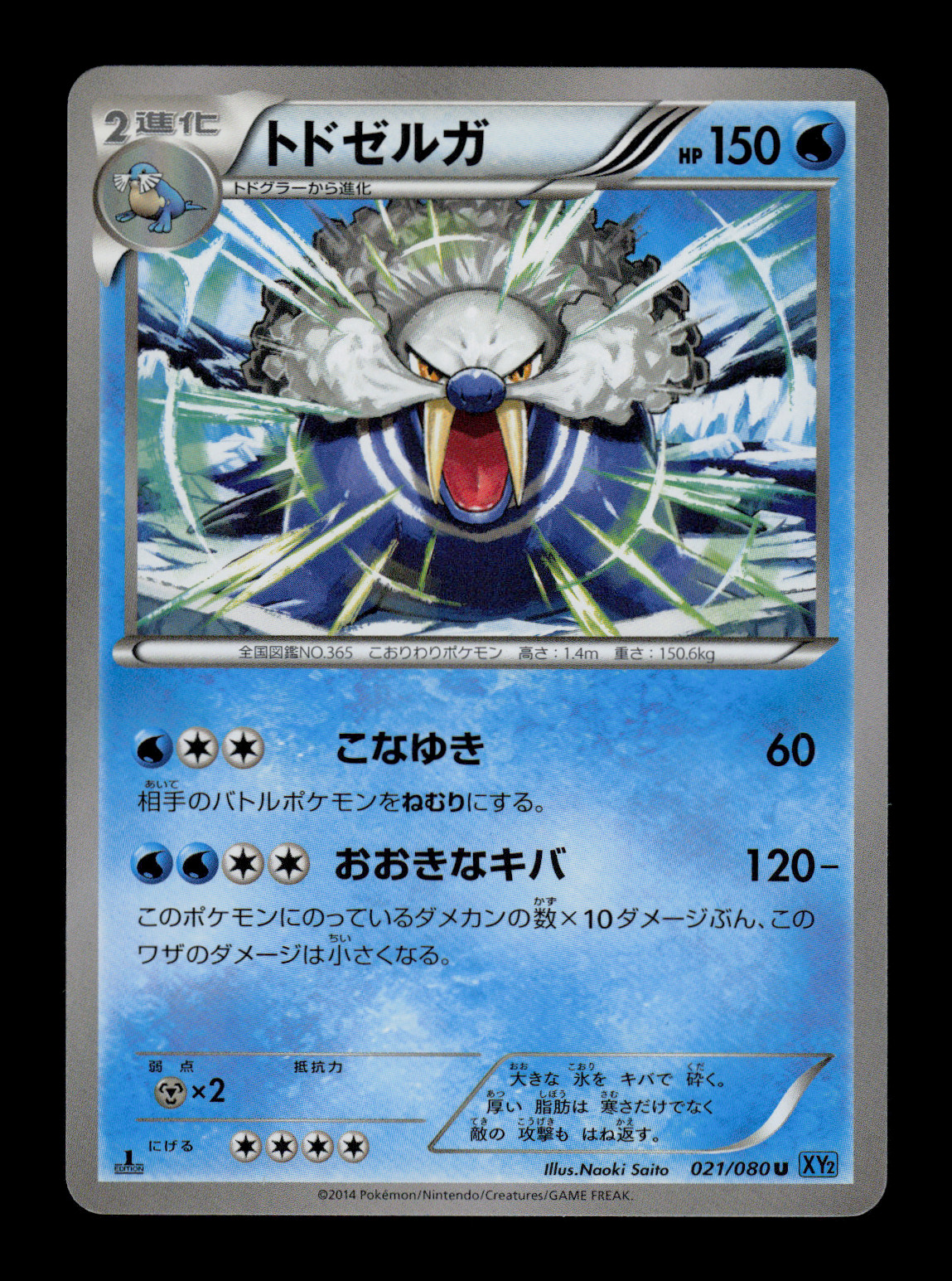 NM - Pokemon Walrein 021/080 U 1ST ED Wild Blaze XY2 Japanese