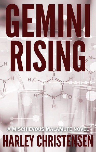 Harley Christensen | Gemini Rising | Buch | Englisch (2022) | Gebunden-image