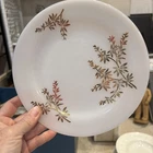 Set Of 6 Vintage FEDERAL GOLDEN GLORY MILK GLASS PLATES Bamboo Leaf 9” 8”