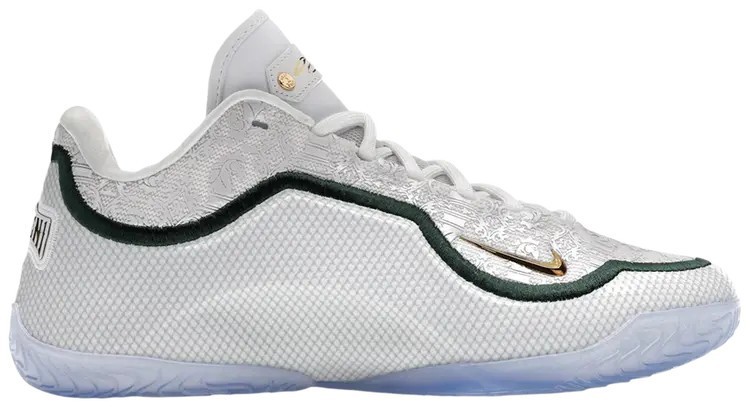 Nike Lebron 23 From This Point Forward for Sale | Authenticity