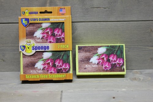 I Can't Believe It's A Sponge 2 Pack