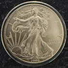 2009 American Eagle - $1 - 1 OZ. Silver Coin - .999 Fine Silver - Capsuled