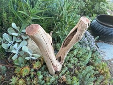 Large Driftwood Manzanita 15" Aquascape Aquarium Terrarium Reptile Home Decor