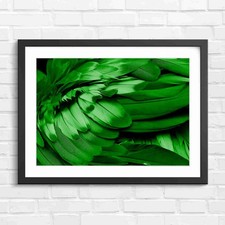 Vibrant Macaw Parrot Wings Closeup Green Framed Wall Art Print Large Picture