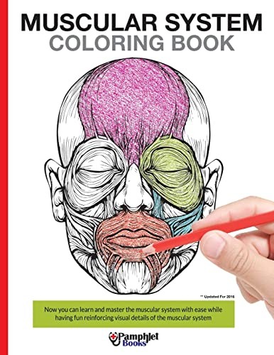 Muscular System Coloring Book: Now you can learn and master the