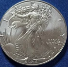 A 2024 $1 1-oz American Silver Eagle Star Privy Struck Through Error Reverse