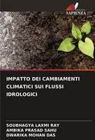 Impatto Dei Cambiamenti Climatici Sui Flussi Idrologici Ray (U. A.) Taschenbuch