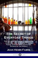 Jean Henri Fabre | The Secret Of Everyday Things | Taschenbuch | Englisch
