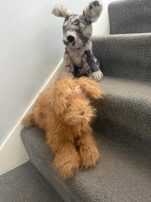 Jellycat Fluff and Scruffles Rettungshunde Brandneu Goodwoof Hundehotel 2026