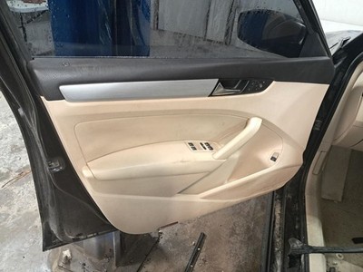 PASSAT    2013 Front Door Trim Panel 3874900