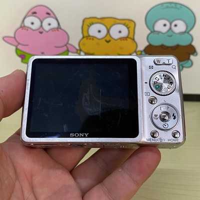 Sony Cyber-shot DSC-W220 12.1MP Digital Camera - Silver for sale