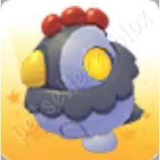 Velocirooster  Adopt