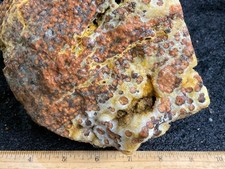 Z~ Ocean Jasper Faced Rough 5 Lbs