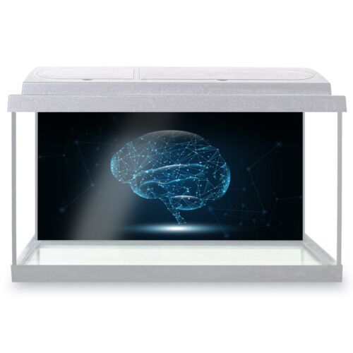 Fish Tank Background 90x45cm - Brain Networking Concept Tech  #21284 - Afbeelding 1 van 8