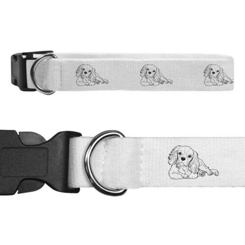 'Cavalier King Charles Spaniel' Dog Collars (PR030981) - Afbeelding 1 van 9