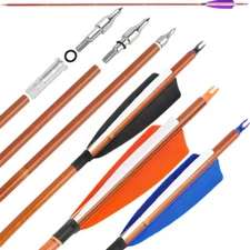 30" Carbon Arrows SP500 4" Turkey Feather Archery Recurve Bow Tips Shoot Hunting