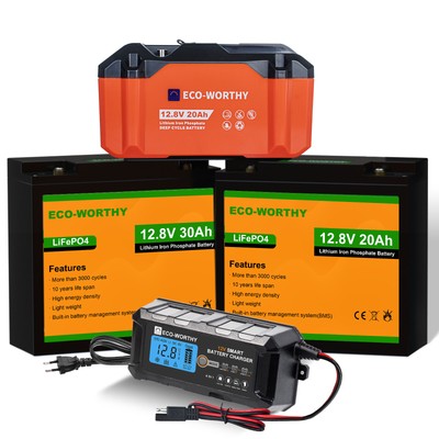 12V 20Ah 30Ah Lithium Batterie LiFePO4 Akku mit 5A Ladegerät BMS  Camping