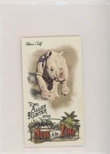 2019 Topps Allen & Ginter New to the Zoo Minis Rhino Calf #NTTZ-4 05ti