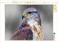 Calvendo Puzzle KöNigsrauhfußBussard | 1000 Teile Lege-GrößE 64 × 48 Cm Foto-Puz