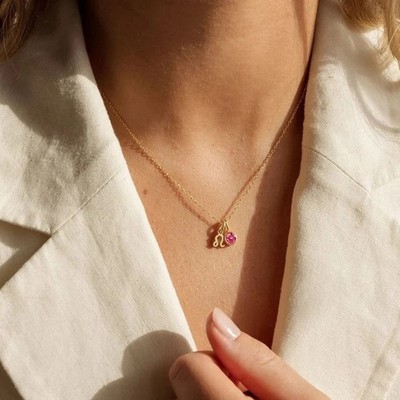 Dainty Zodiac Birthstone Necklace, Personalised Horoscope Jewelry 14K Gold Color