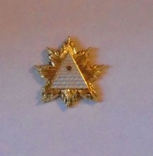 Secret Occult Society God RA Badge Gold High Priest NWO Illuminati Order Pin KT