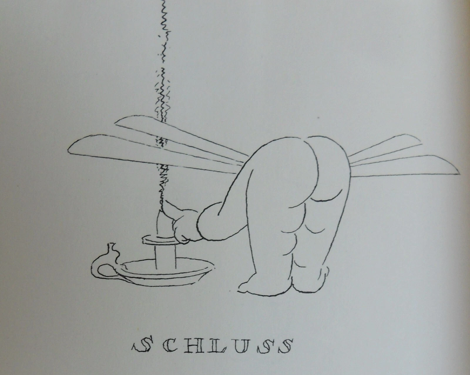 Bild 5 von 12
